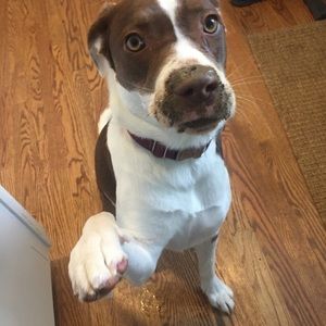 Meet your Posher, Cory